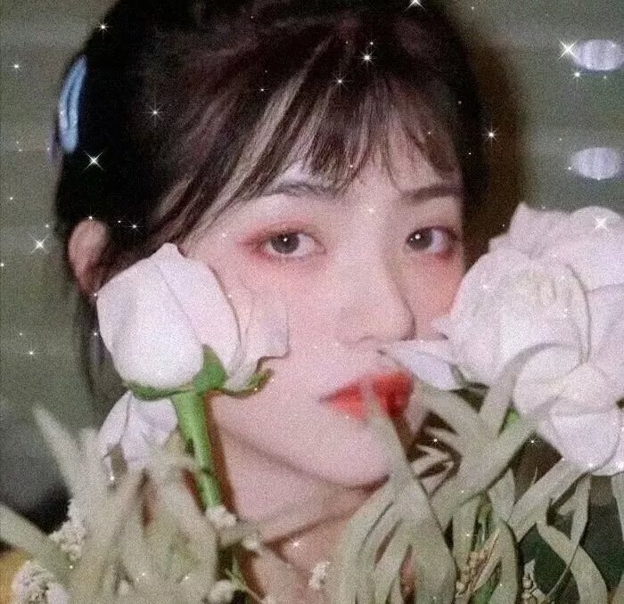 千日的约定